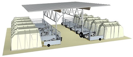 Calf Garden 